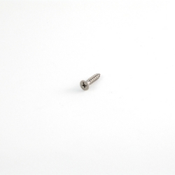 SCREW 8 X 3/4" FHSMS-P SS